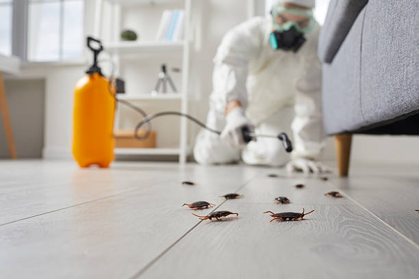 Post-Treatment Bed Bug Interceptor Monitoring in Muscoda